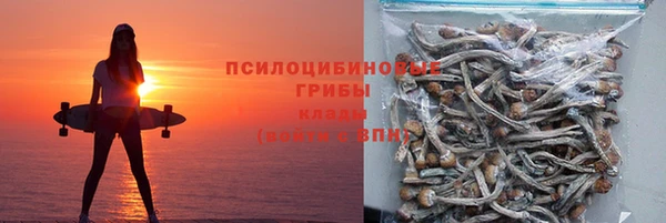 тгк Богородск