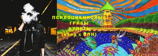 тгк Богородск