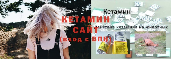 соль ск Богданович