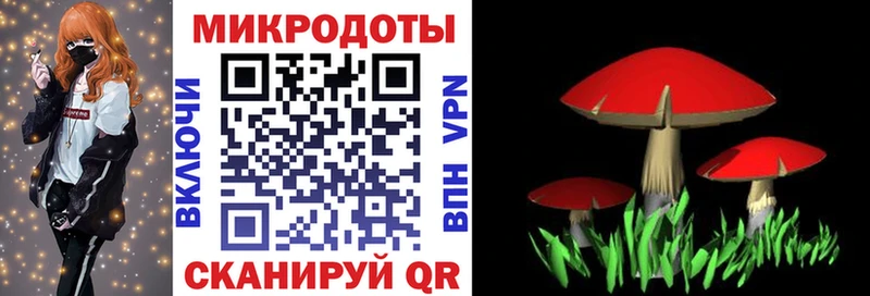 кракен ONION Невельск Псилоцибиновые грибы GOLDEN TEACHER даркнет сайт
